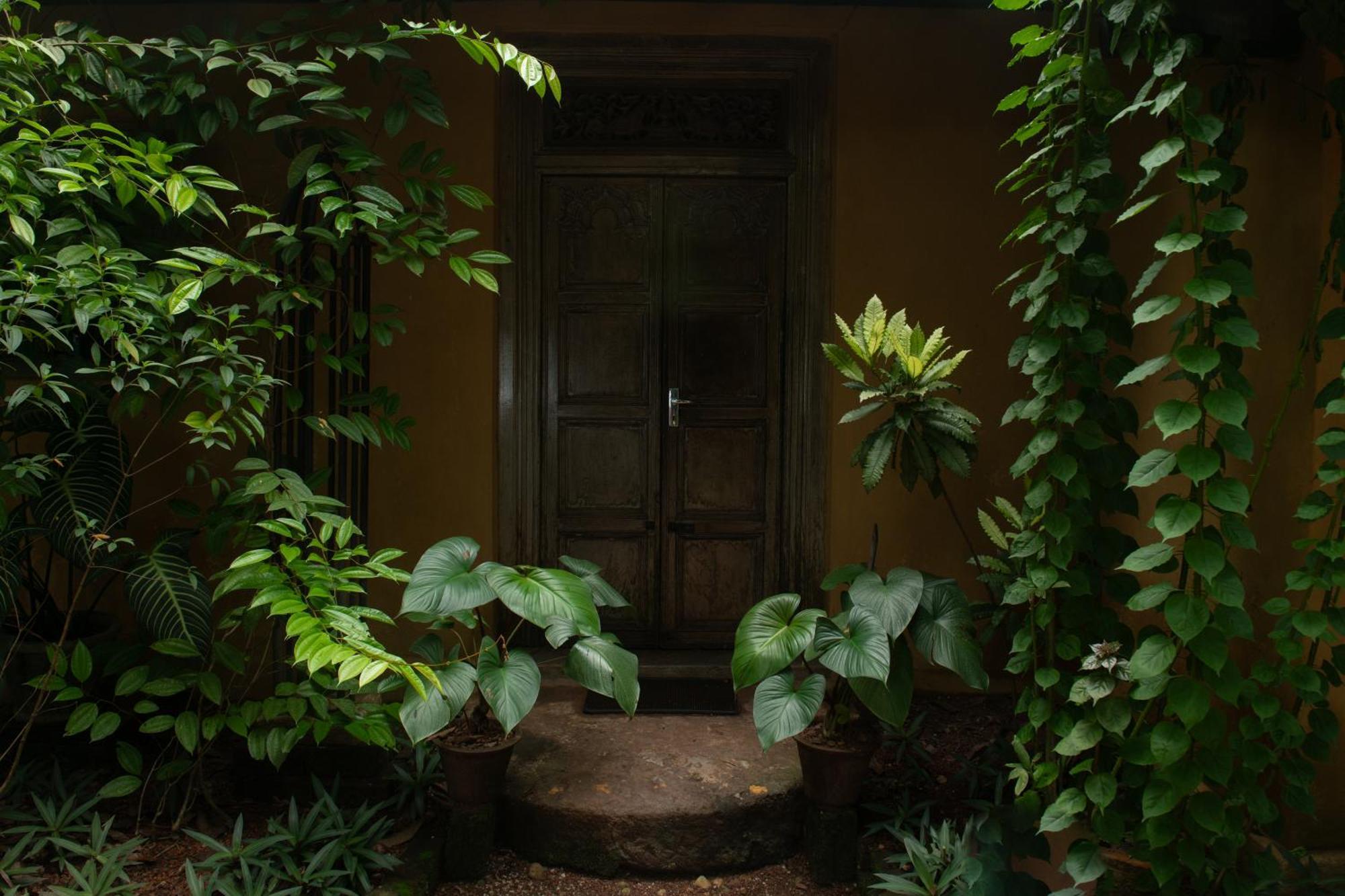 Hotel Casa Heliconia Gampaha Exterior foto